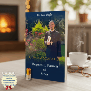 Cum am scăpat de depresie, panică și stres - Pr. Ioan Trofin