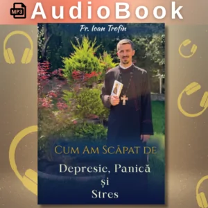 AudioBook - Cum am scăpat de depresie, panică și stres – Pr. Ioan Trofin - Mp3